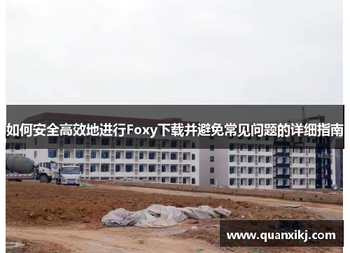 如何安全高效地进行Foxy下载并避免常见问题的详细指南