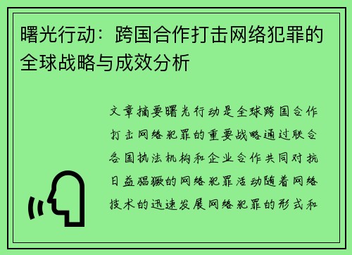 曙光行动：跨国合作打击网络犯罪的全球战略与成效分析